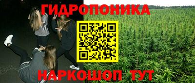 марки lsd Сланцы