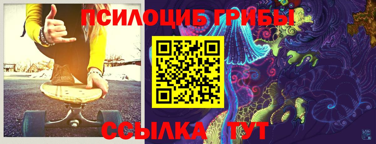 купить  цена  Вход с VPN  Орёл  Псилоцибиновые грибы Psilocybine cubensis 